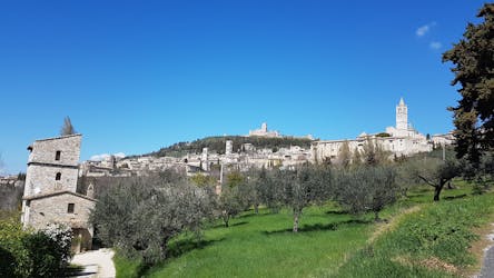 Tour of Orvieto and Assisi from Rome